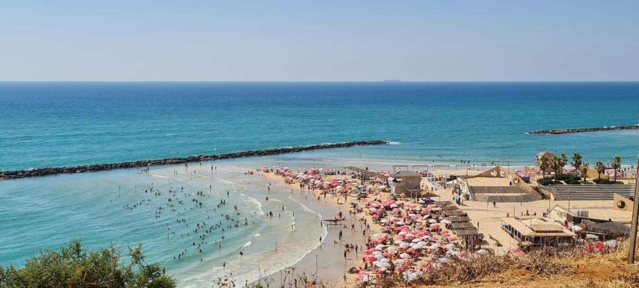 חוויה בכיכר Apartment Netanya Exterior photo